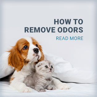 how to remove odors - read article