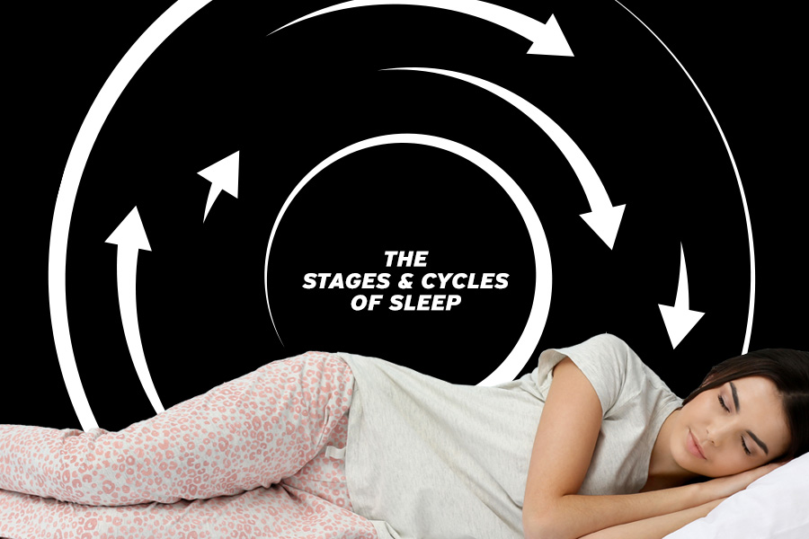 The Stages And Cycles Of Sleep