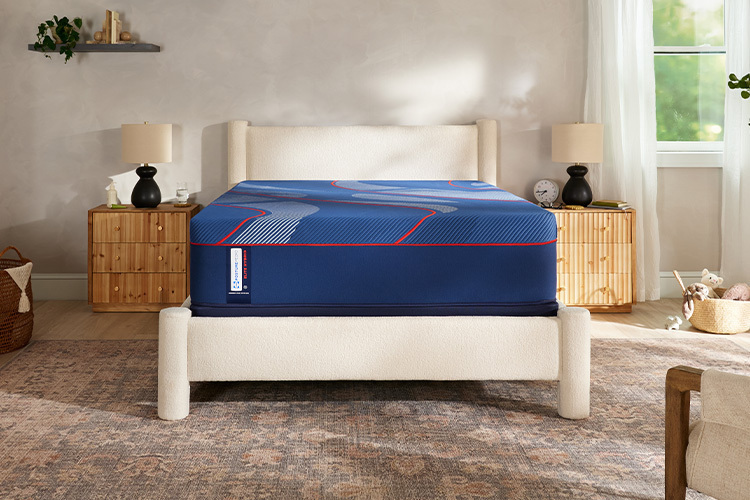 Brenham 2 Hybrid Firm Mattress