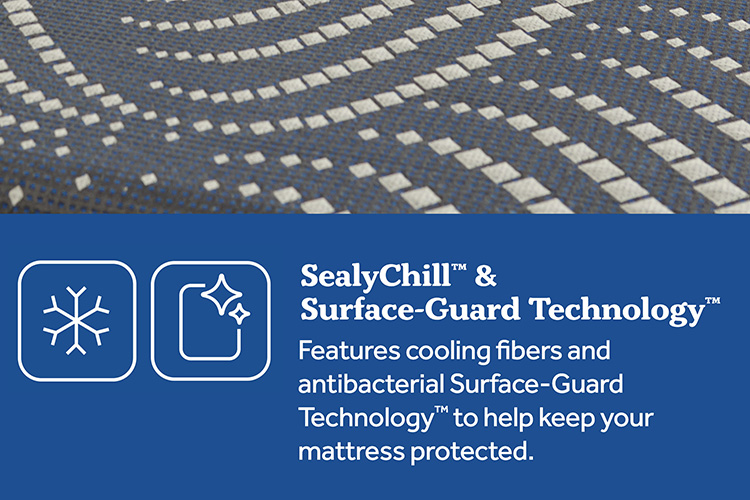 sealy albany firm mattress