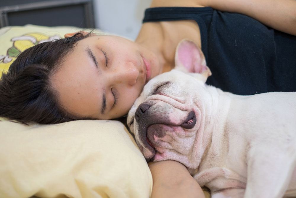 Should Pets Sleep In Your Bed?